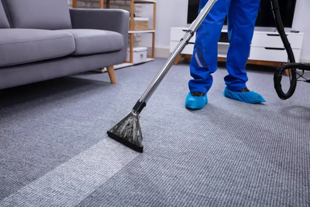 Cleaning Carpet