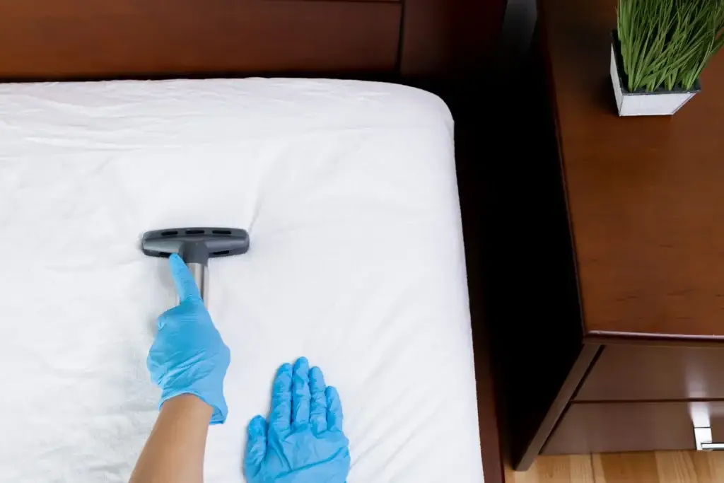 Clean a mattress