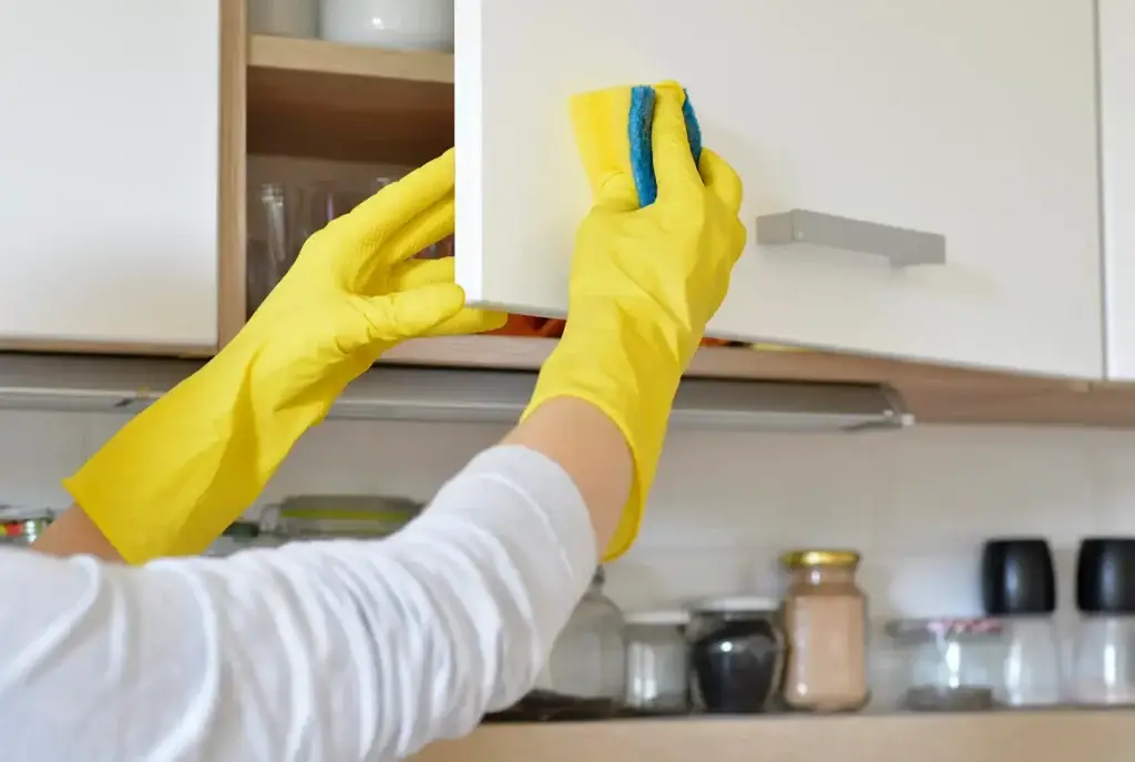 Best kitchen cabinet cleaner