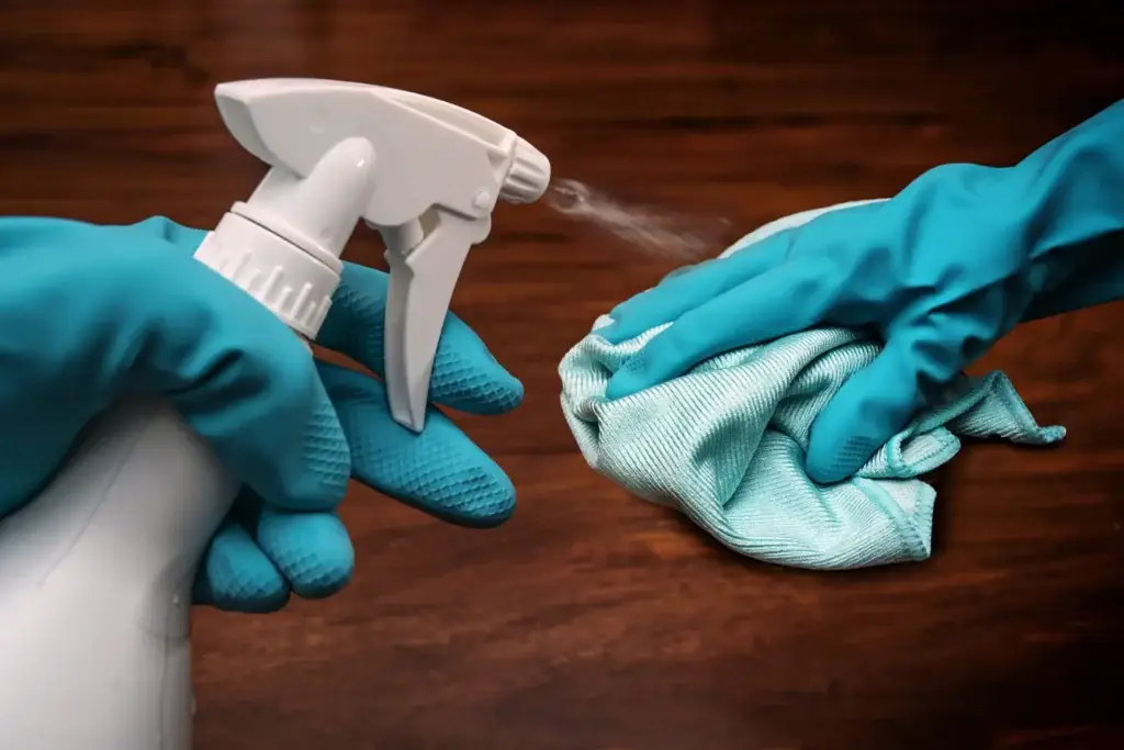 Deep Cleaning vs Regular Cleaning