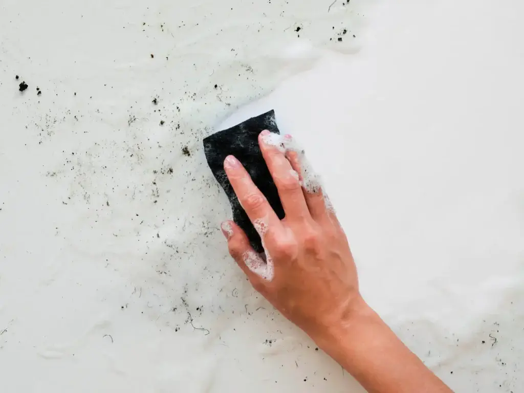 how to clean mold off bathroom ceiling