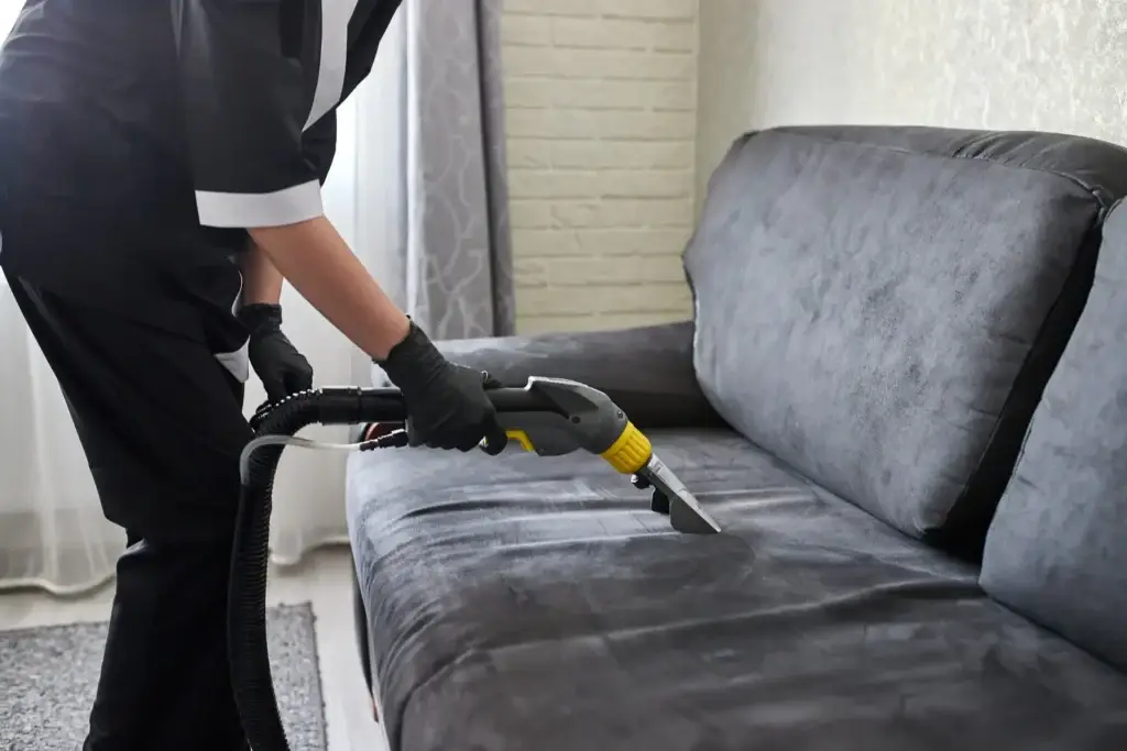 Best Vacuums for Couch Cleaning