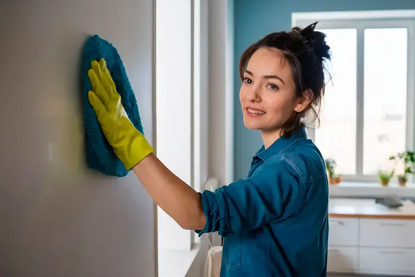 Bi weekly home cleaning