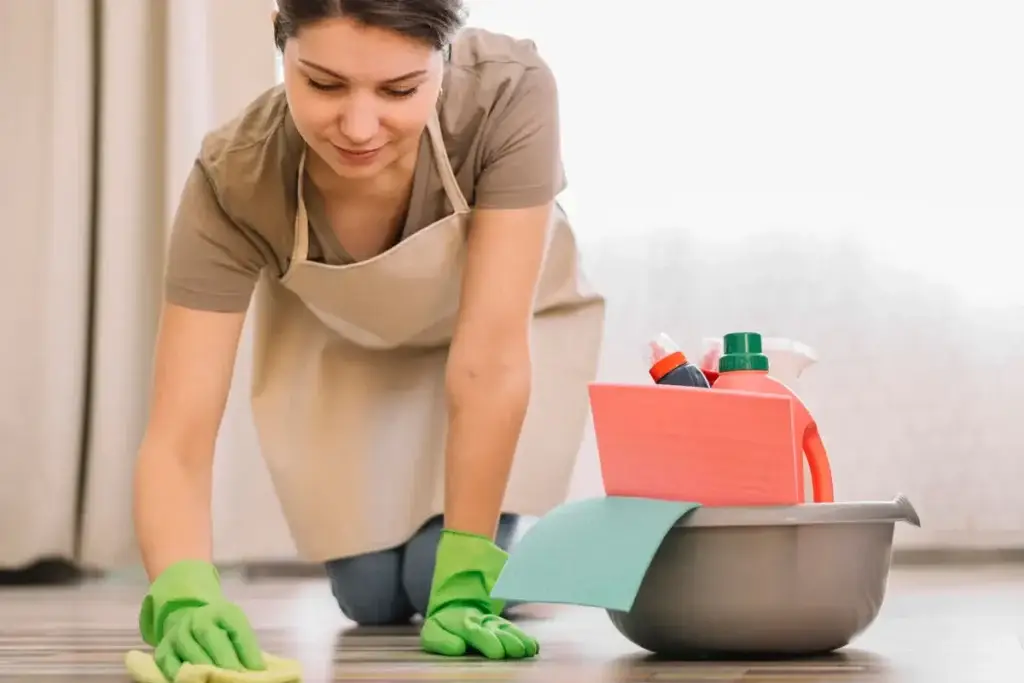 House Cleaning Tips