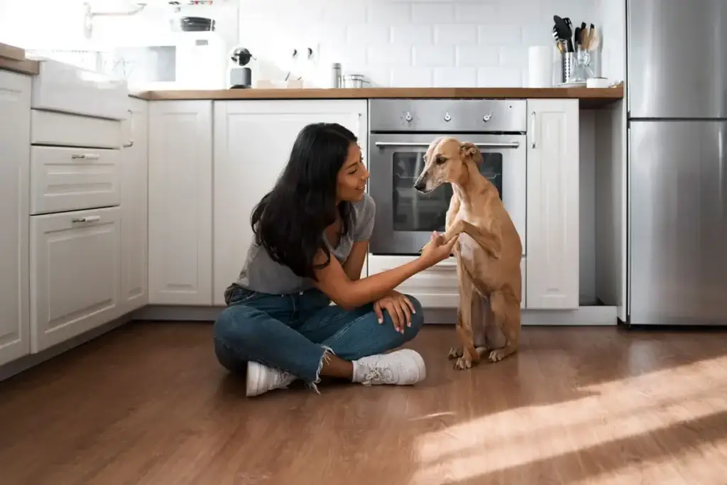 Pet Friendly House Cleaning