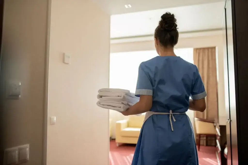 Professional maid service