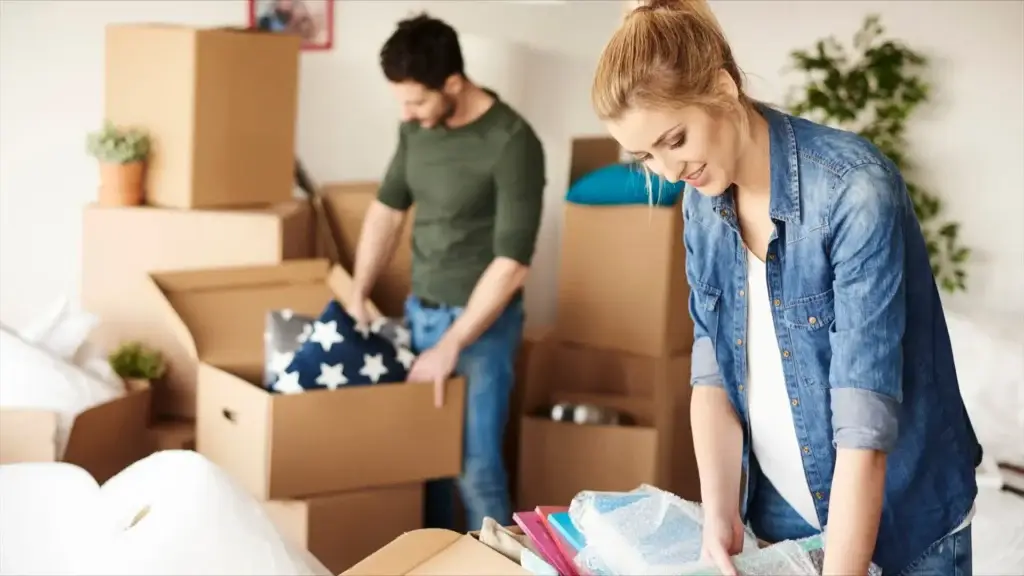 Move In Cleaning Service