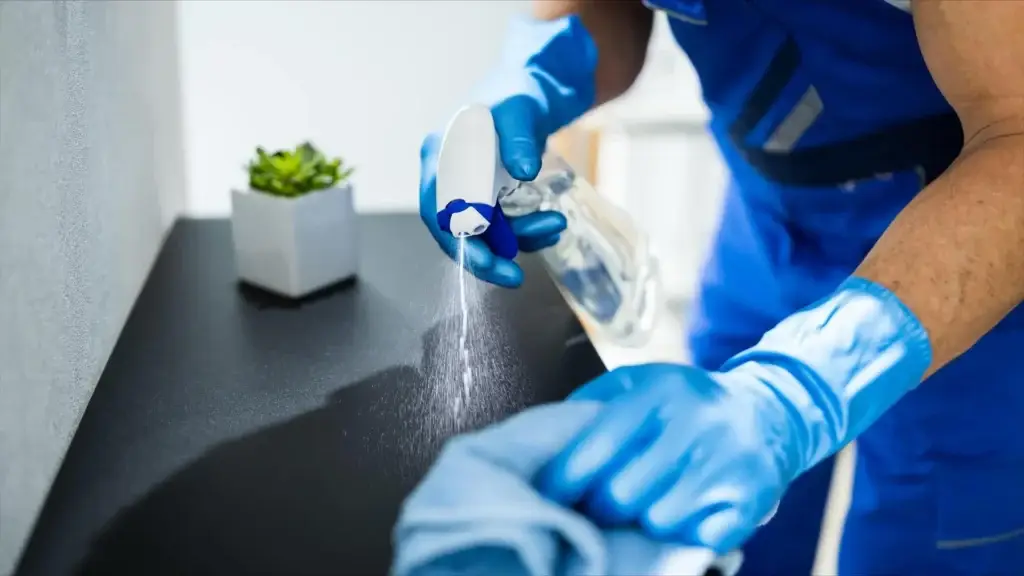 house cleaning services in Plymouth