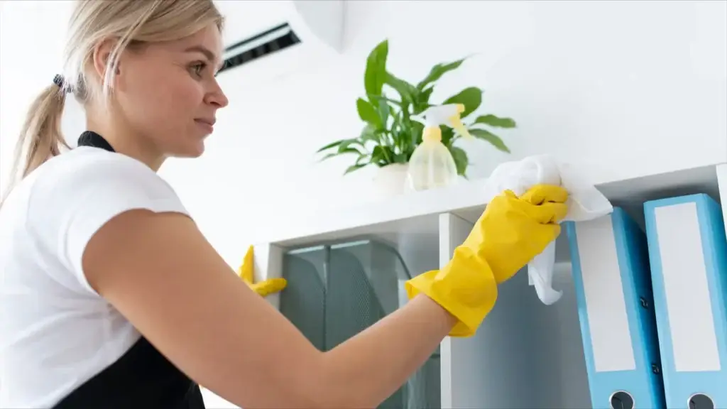 Home organization cleaning