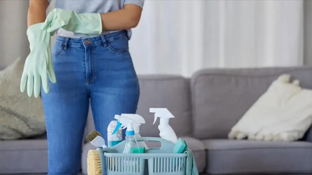 home maintenance cleaning