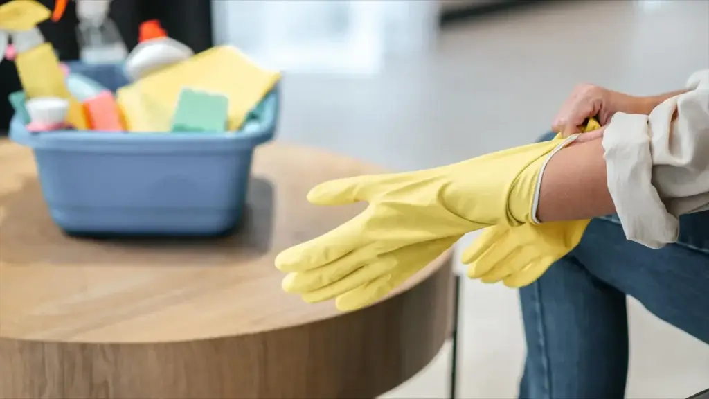 professional cleaning service