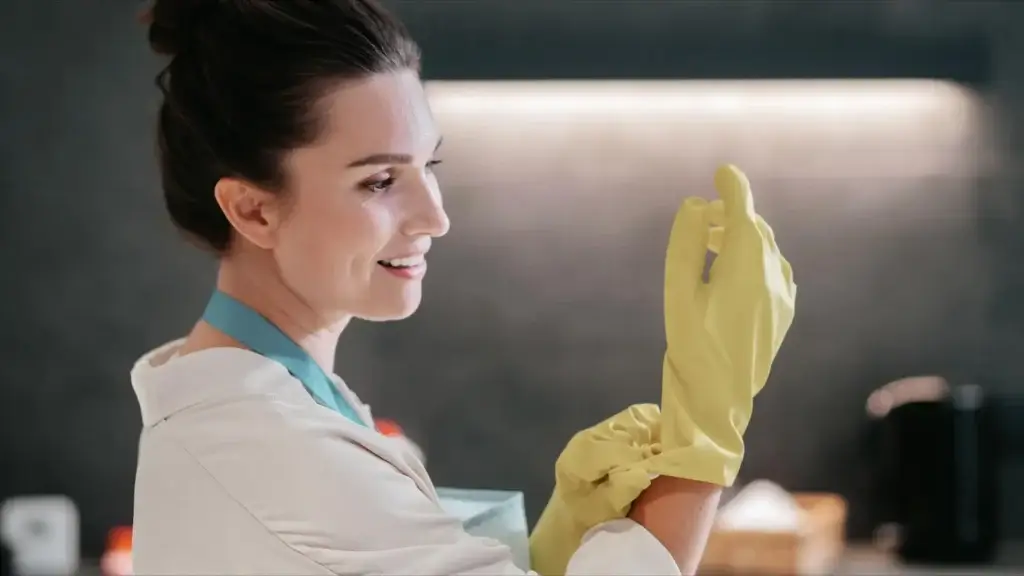 professional house cleaning service