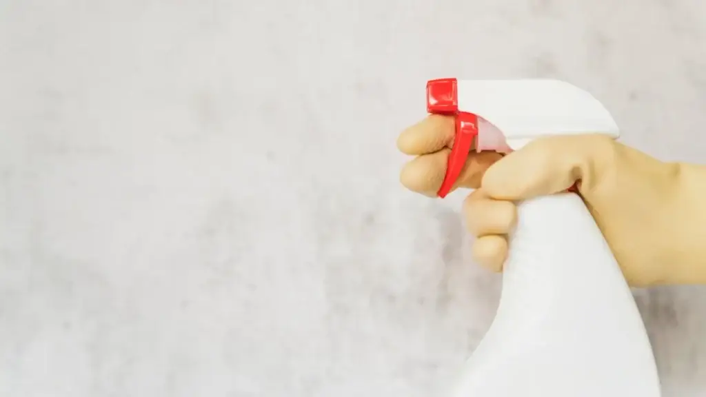 gloved hand holding spray bottle