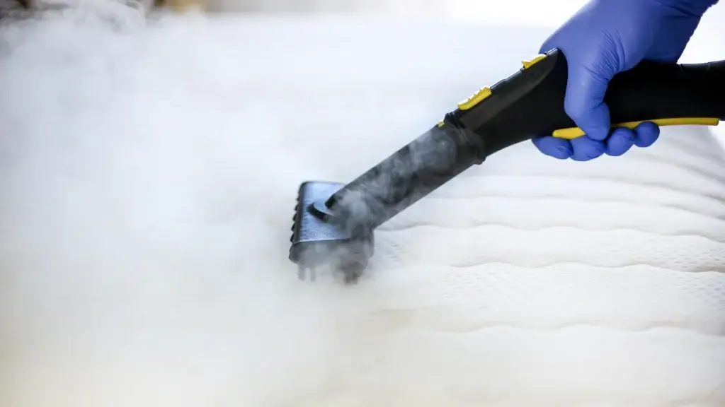 Professional steam cleaning and disinfecting a mattress